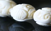 砗磲是什么