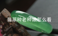 翡翠种老种嫩怎么看 翡翠哪种料最好