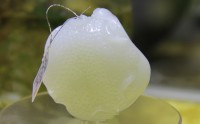 白玉戴久了变成绿色吗，白玉的特性