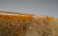 透闪石玉基本知识 透闪石玉分为几个级别