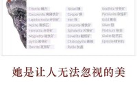 极光23独特的成色与价值，小众的它为何能“火”？【推荐】 