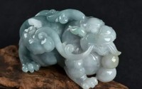 什么是翡翠的种 图文对照详解翡翠的种