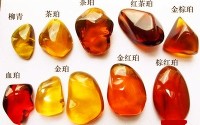 琥珀蜜蜡种类有多少种 琥珀蜜蜡和琥珀的区别