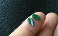 男士适合翡翠项链吗