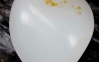 南红玛瑙是玉石还是宝石