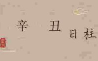 辛丑日柱女命婚姻_辛丑日柱看配偶家境