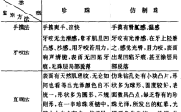 如何鉴别珍珠与仿制珠 珍珠与仿制珠的鉴别方法