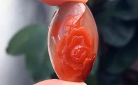 战国红与南红的区别有哪些？战国红与南红哪个好？