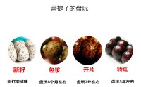 星月菩提怎么挂瓷 星月菩提挂瓷后怎么盘