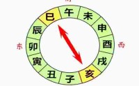 八字巳亥相冲会有什么后果