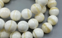 砗磲石是什么宝石？产地，价格，寓意，保养，鉴别，禁忌