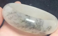 便宜的佘太翠可以养出来吗