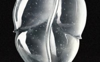 翡翠颜色三大类 细致描述翡翠的各种颜色